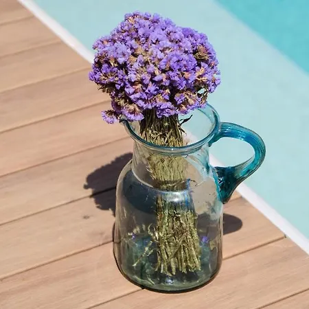 Birdcage 33 - Adult Only Hotell *