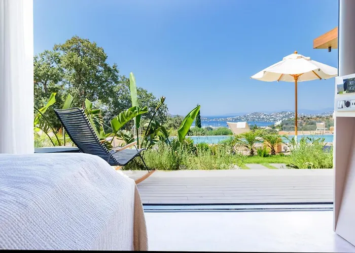 Birdcage 33 - Adult Only *