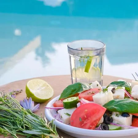 Birdcage 33 - Adult Only * يالِكافاك