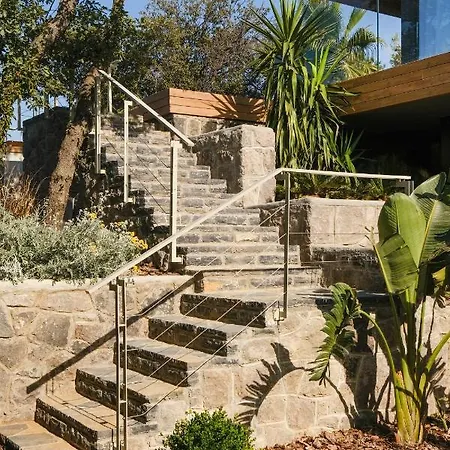 Birdcage 33 - Adult Only