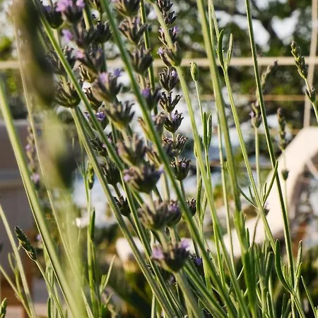 Birdcage 33 - Adult Only فندق