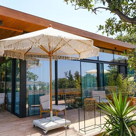 Birdcage 33 - Adult Only * يالِكافاك