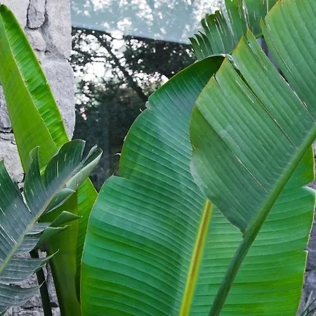 فندق Birdcage 33 - Adult Only يالِكافاك