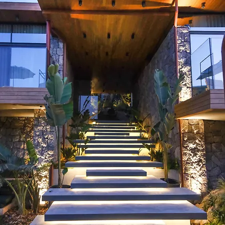 Birdcage 33 - Adult Only