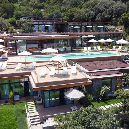 Birdcage 33 - Adult Only يالِكافاك