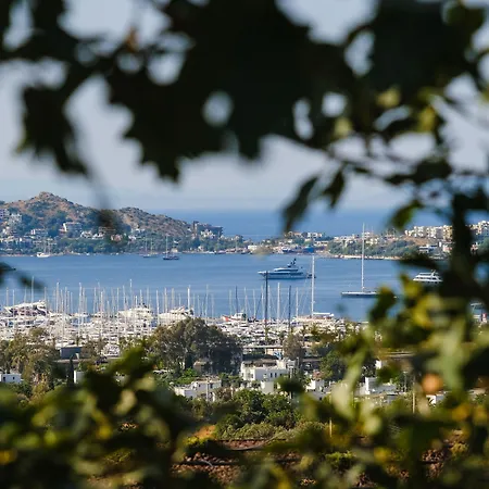 Birdcage 33 - Adult Only فندق