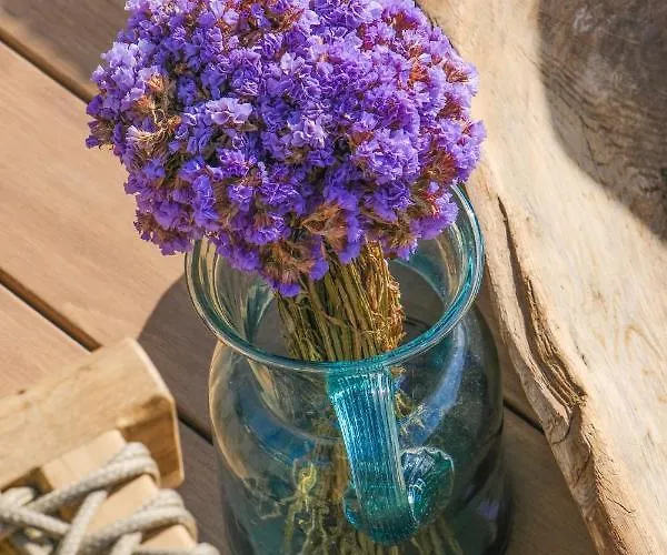 Hotel Birdcage 33 - Adult Only *