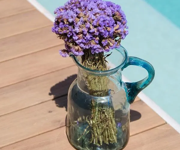 Birdcage 33 - Adult Only Hotel *