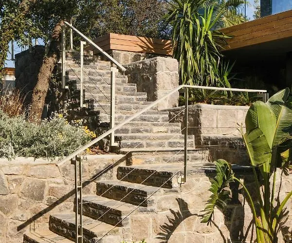 Birdcage 33 - Adult Only