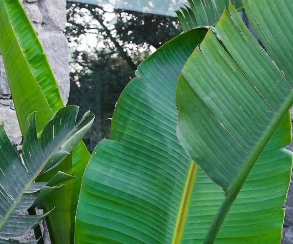 Hotel Birdcage 33 - Adult Only Yalıkavak