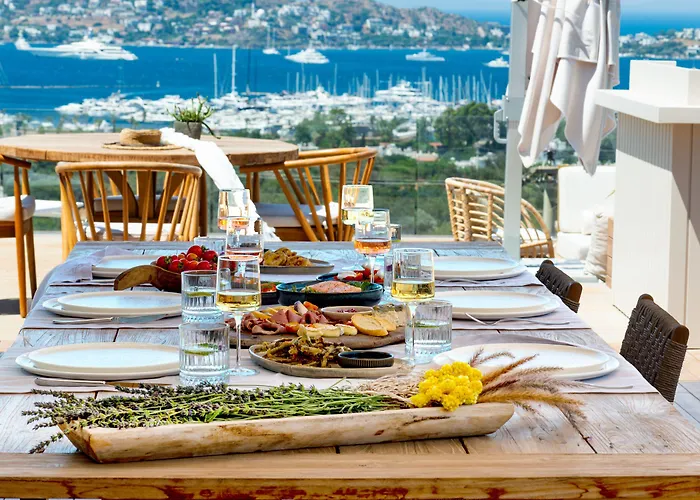 Hotel Birdcage 33 - Adult Only *