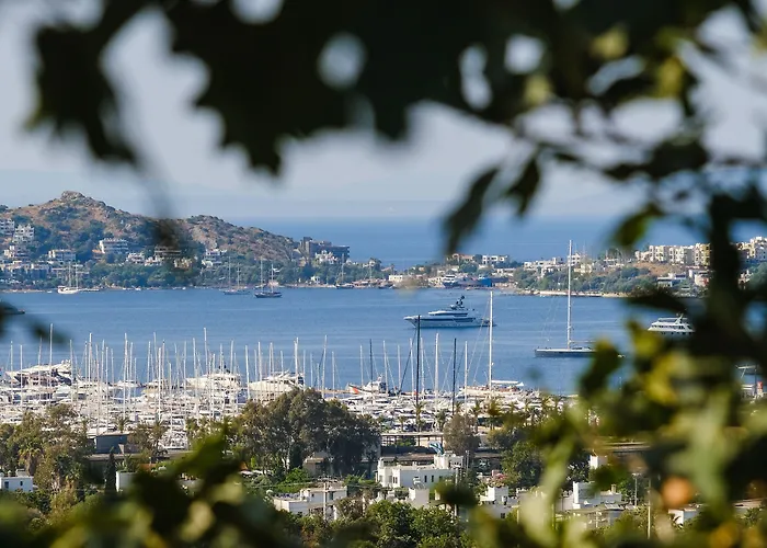 Birdcage 33 - Adult Only Hotel